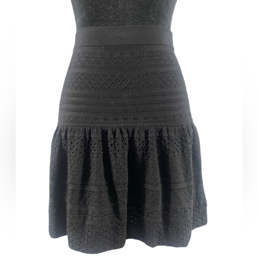 BCBG Black Embroidered Black Mini Skirt, Small - Picture 2 of 6